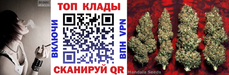 Где купить наркоту Карачев Гашиш МДМА А ПВП Меф мяу мяу Марихуана