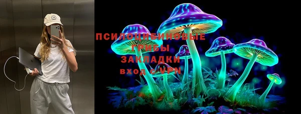 гидра Зеленодольск