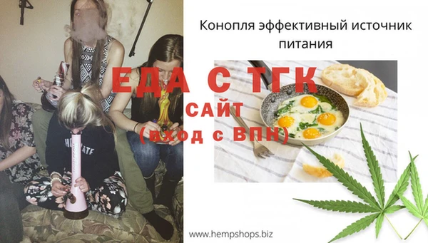 гидра Зеленодольск