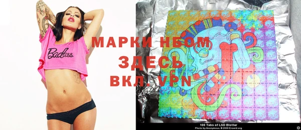 гидра Зеленодольск