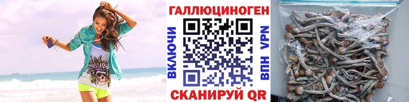 Галлюциногенные грибы GOLDEN TEACHER  цена наркотик  Карачев 